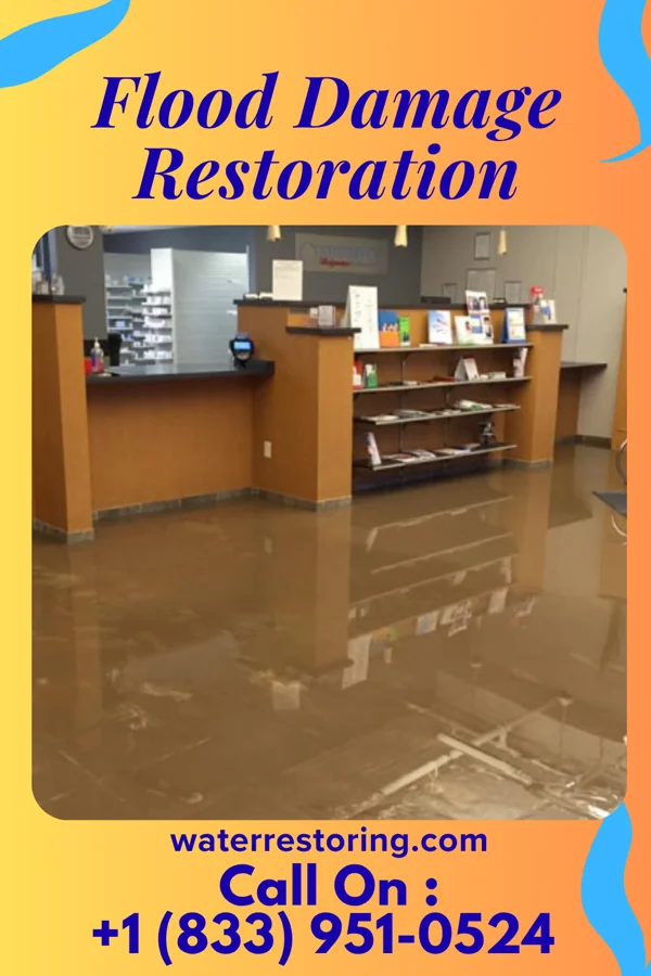 Flood Damage Restoration in Waverly, IL