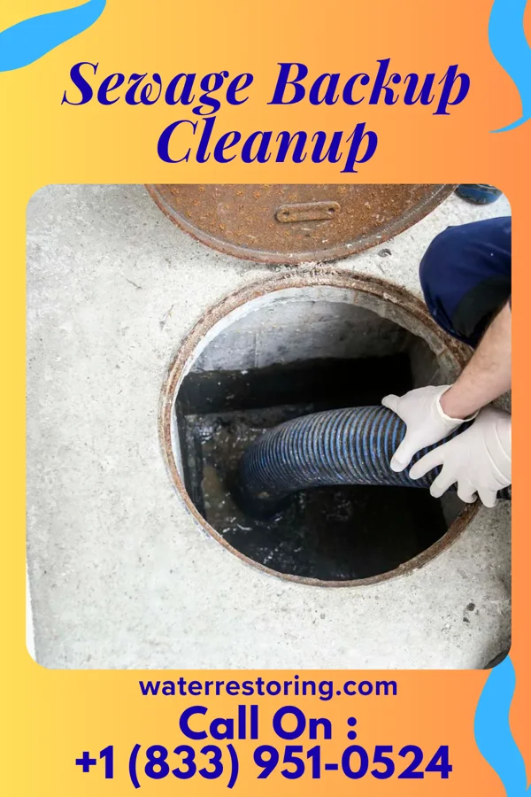 Sewage Backup Cleanup in Waverly, IL